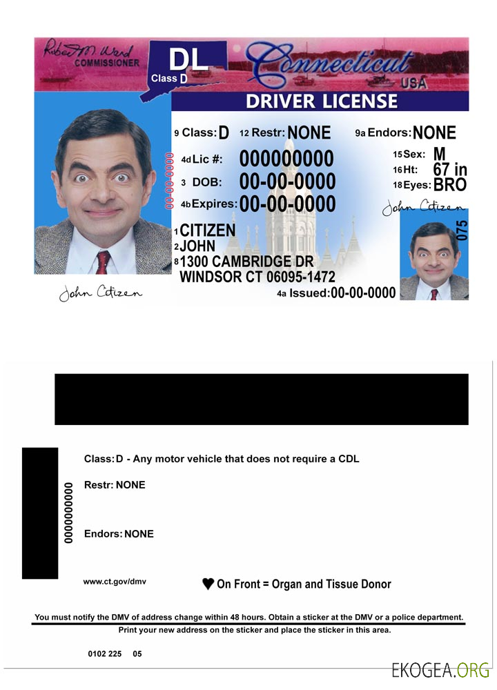 USA Connecticut driving license version 2